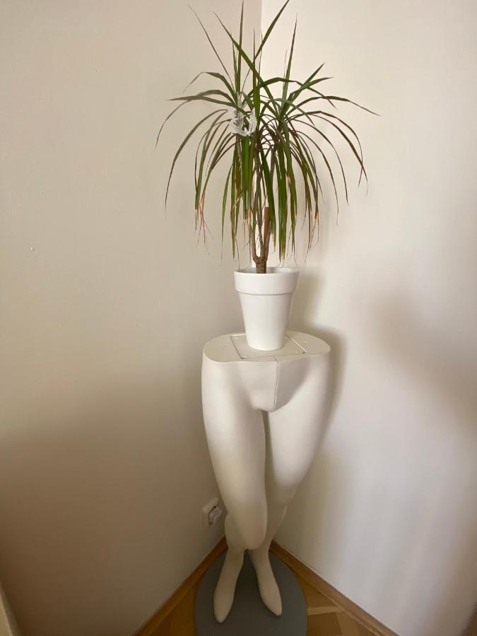 פראג Fantastic Apartment In The City Center מראה חיצוני תמונה
